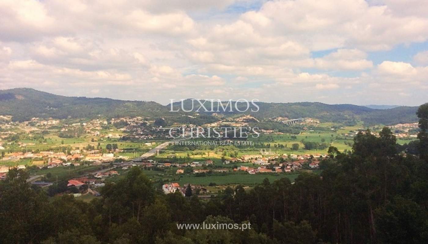 Hôtel Rural avec piscine et jardin, Braga, Portugal_35975