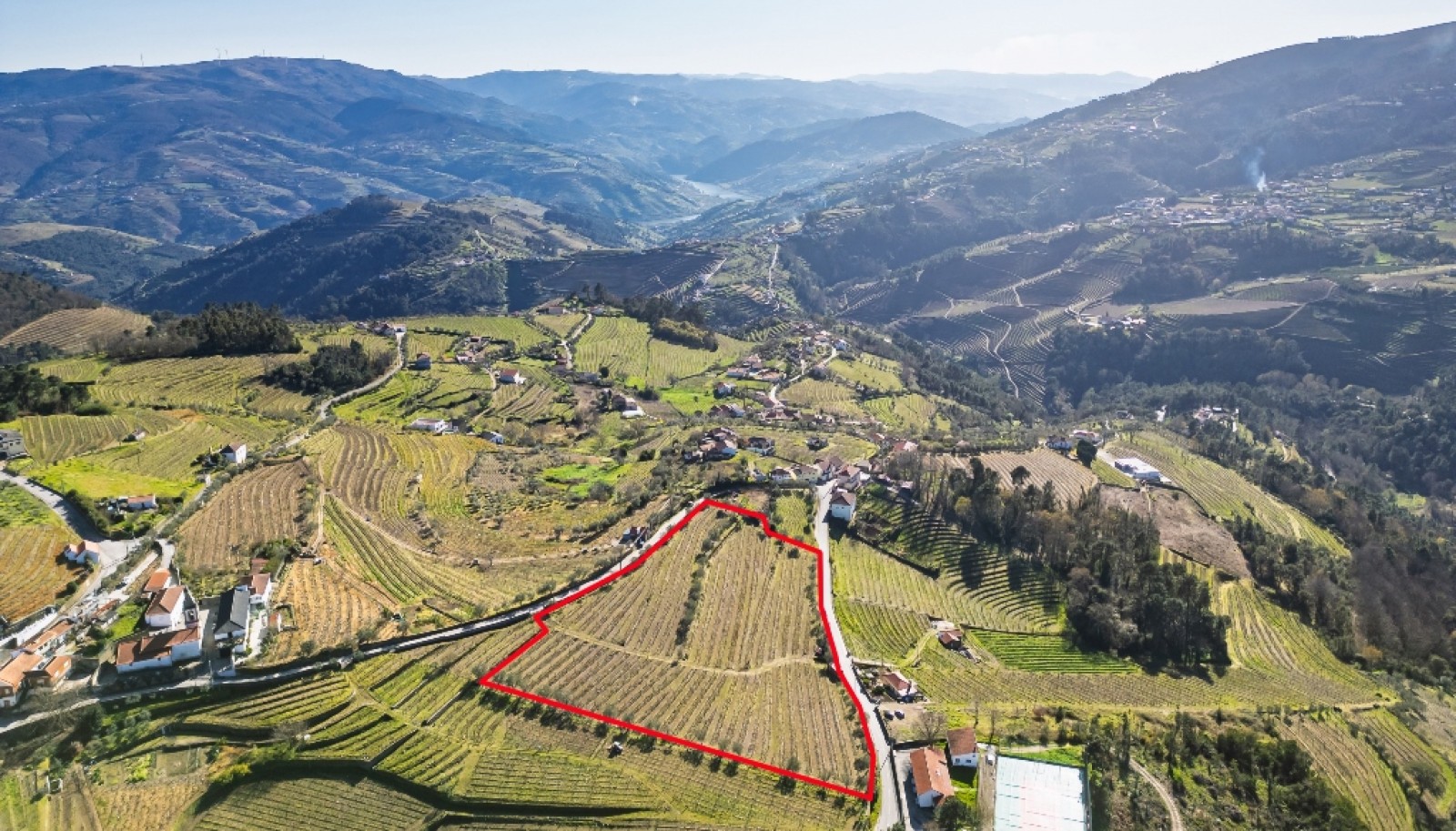 Quinta para venda com projeto aprovado no Douro Valley_361880