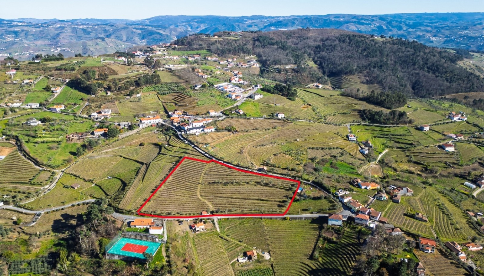 Quinta para venda com projeto aprovado no Douro Valley_361881