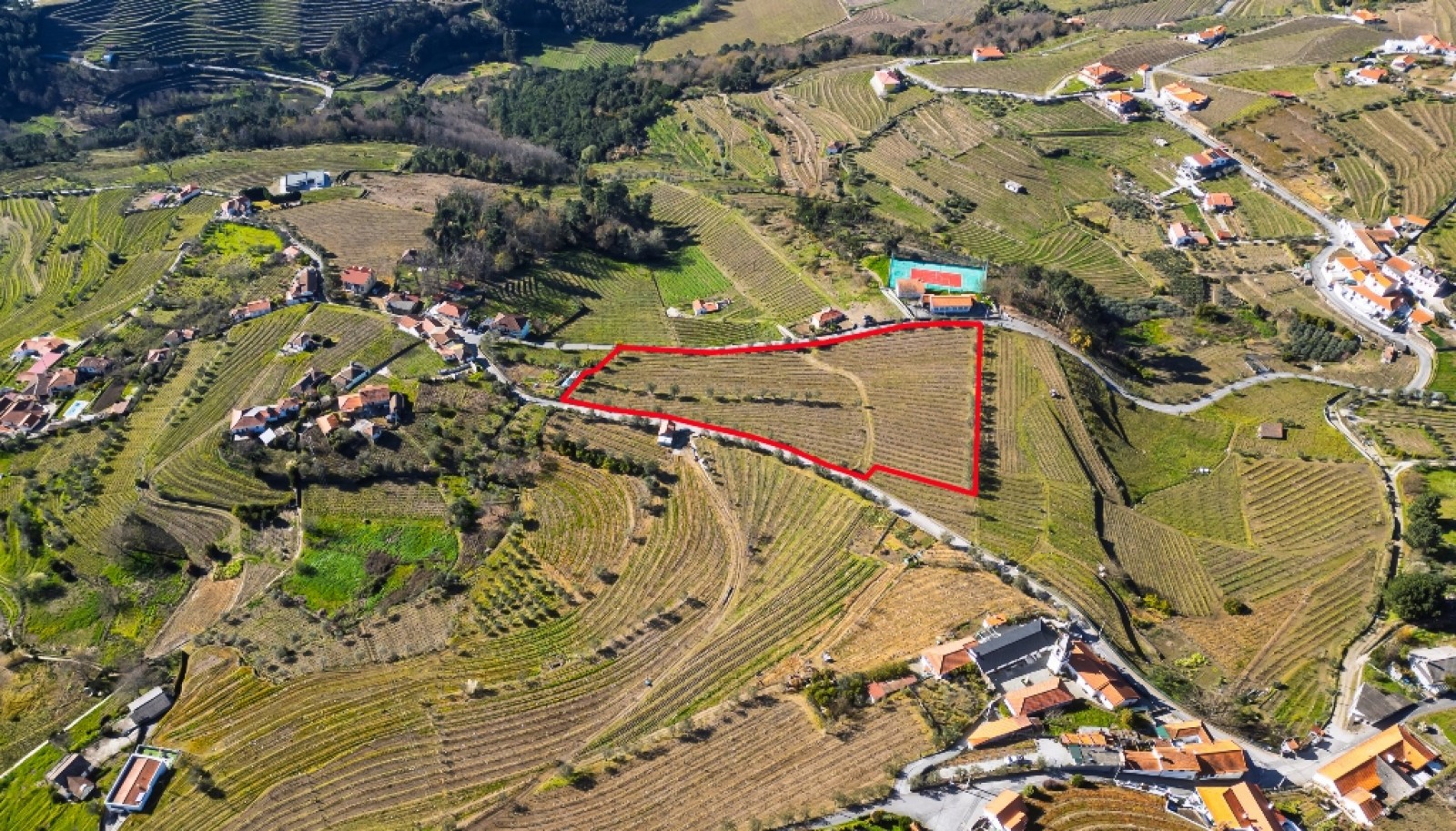 Quinta para venda com projeto aprovado no Douro Valley_361883