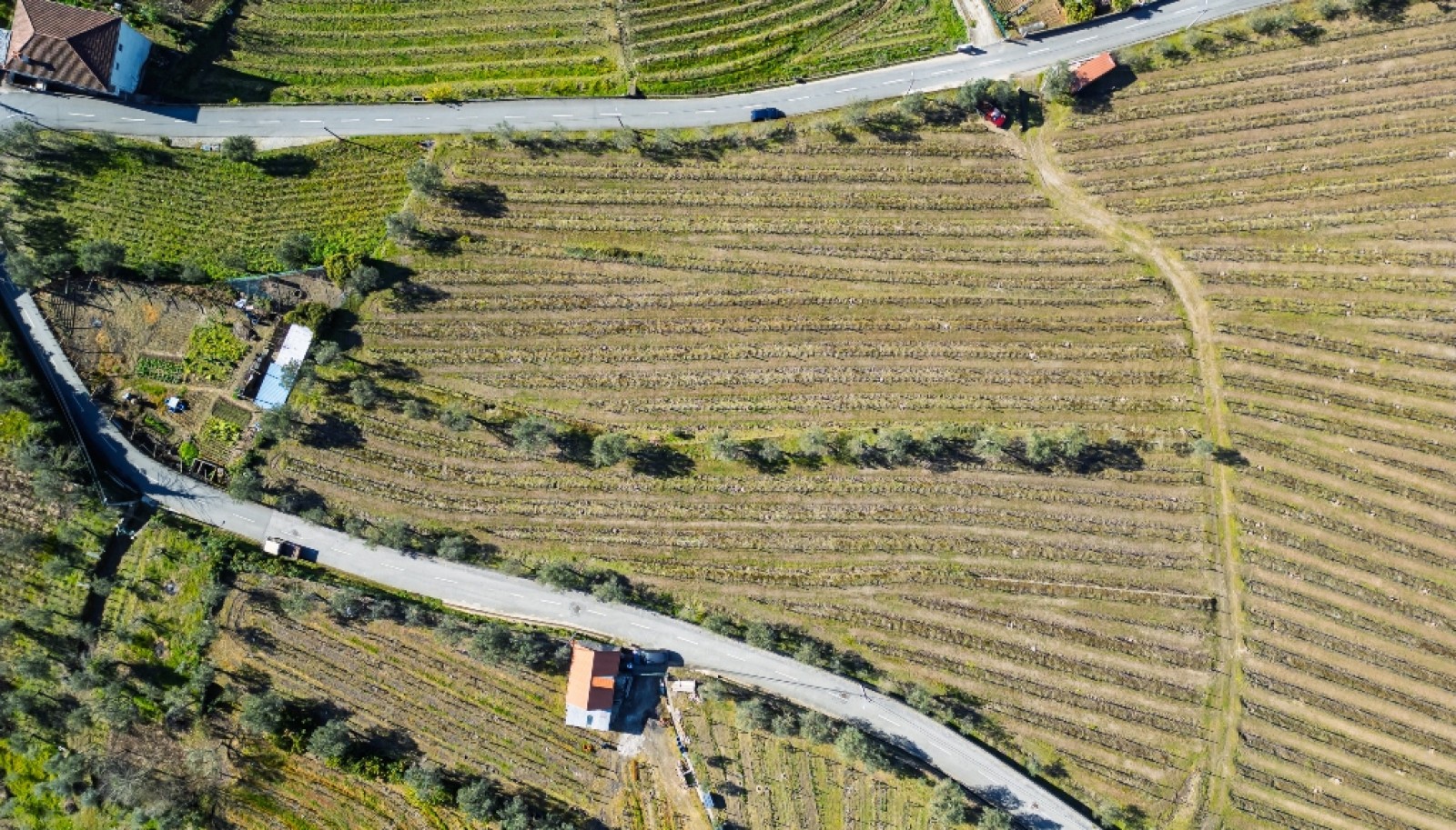 Quinta para venda com projeto aprovado no Douro Valley_361884