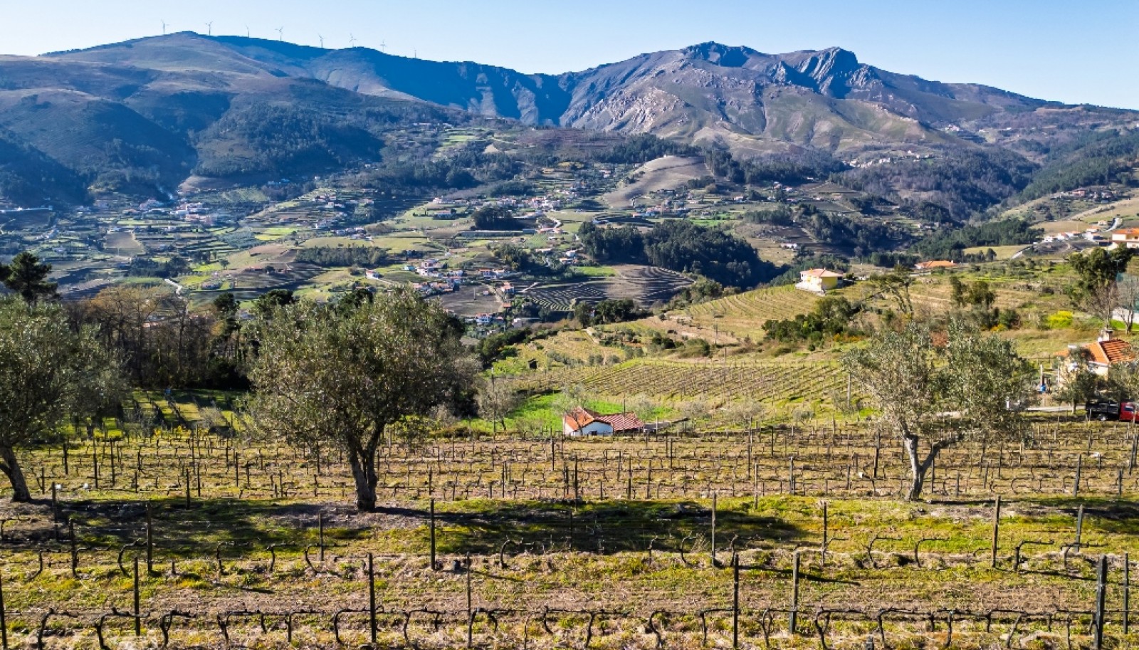 Quinta para venda com projeto aprovado no Douro Valley_361885