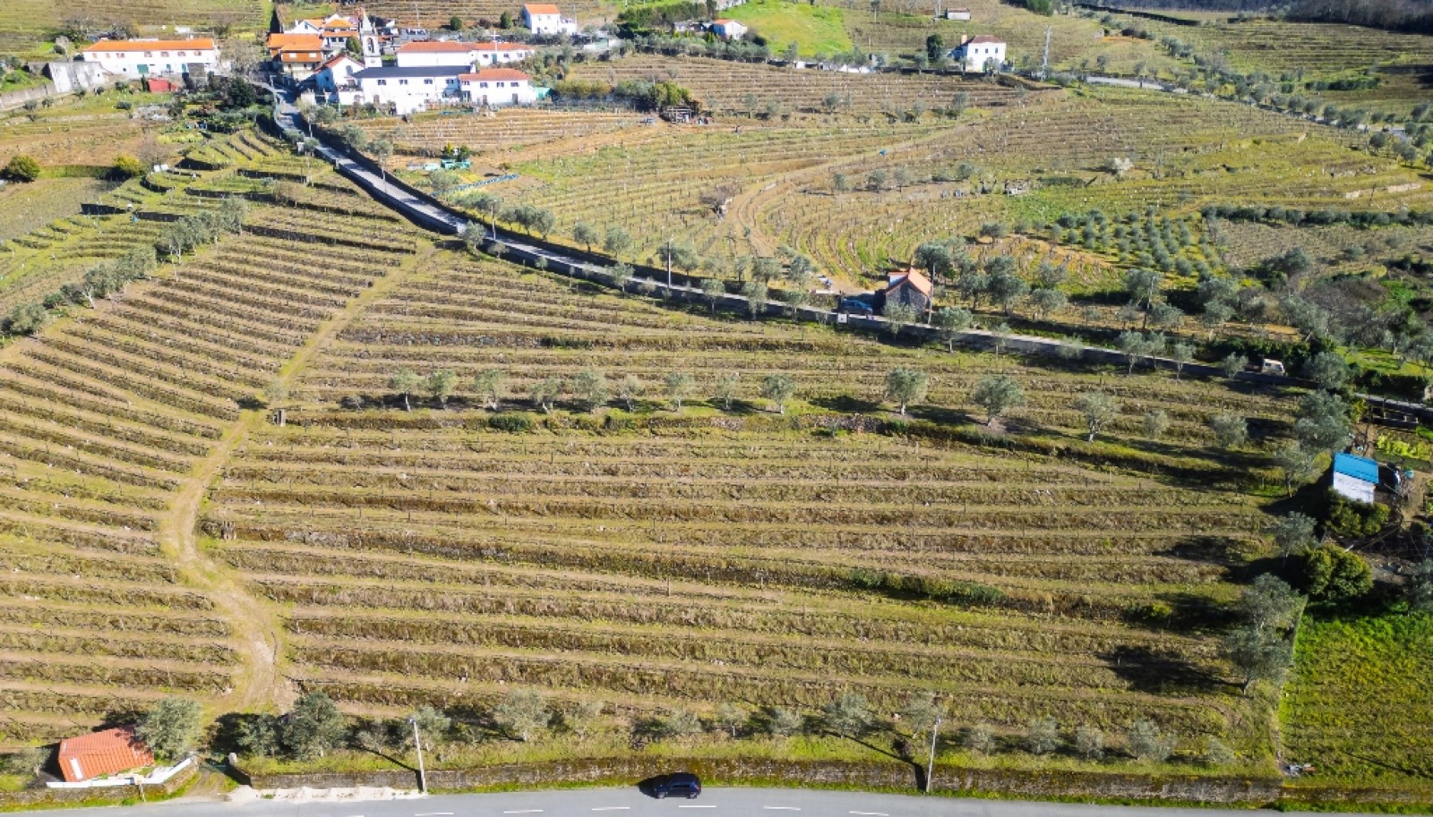 Quinta para venda com projeto aprovado no Douro Valley_361892