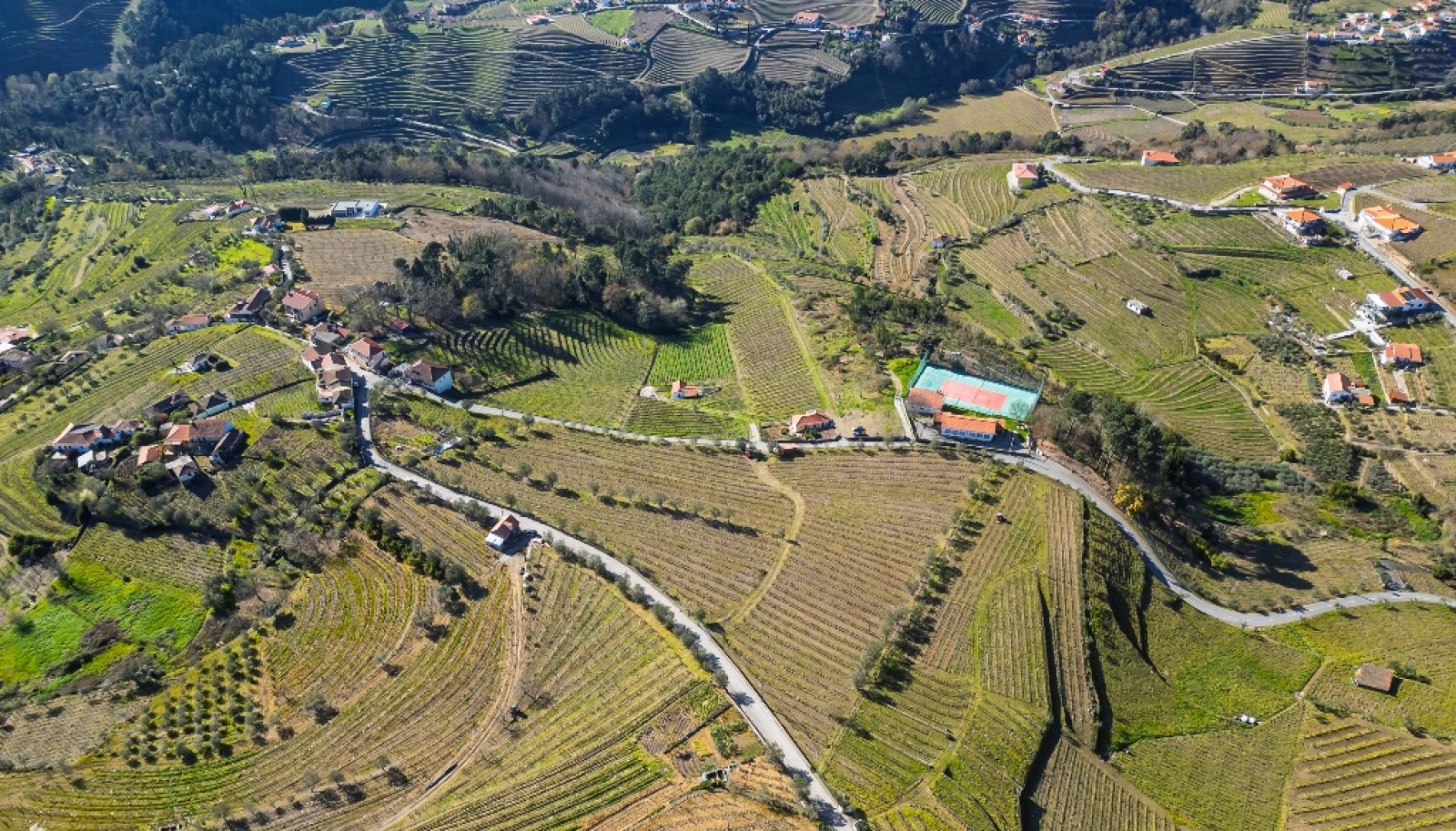 Quinta para venda com projeto aprovado no Douro Valley_361893