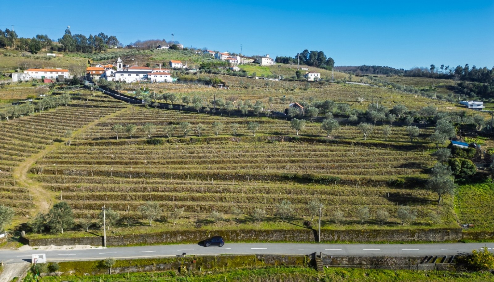 Quinta para venda com projeto aprovado no Douro Valley_361894