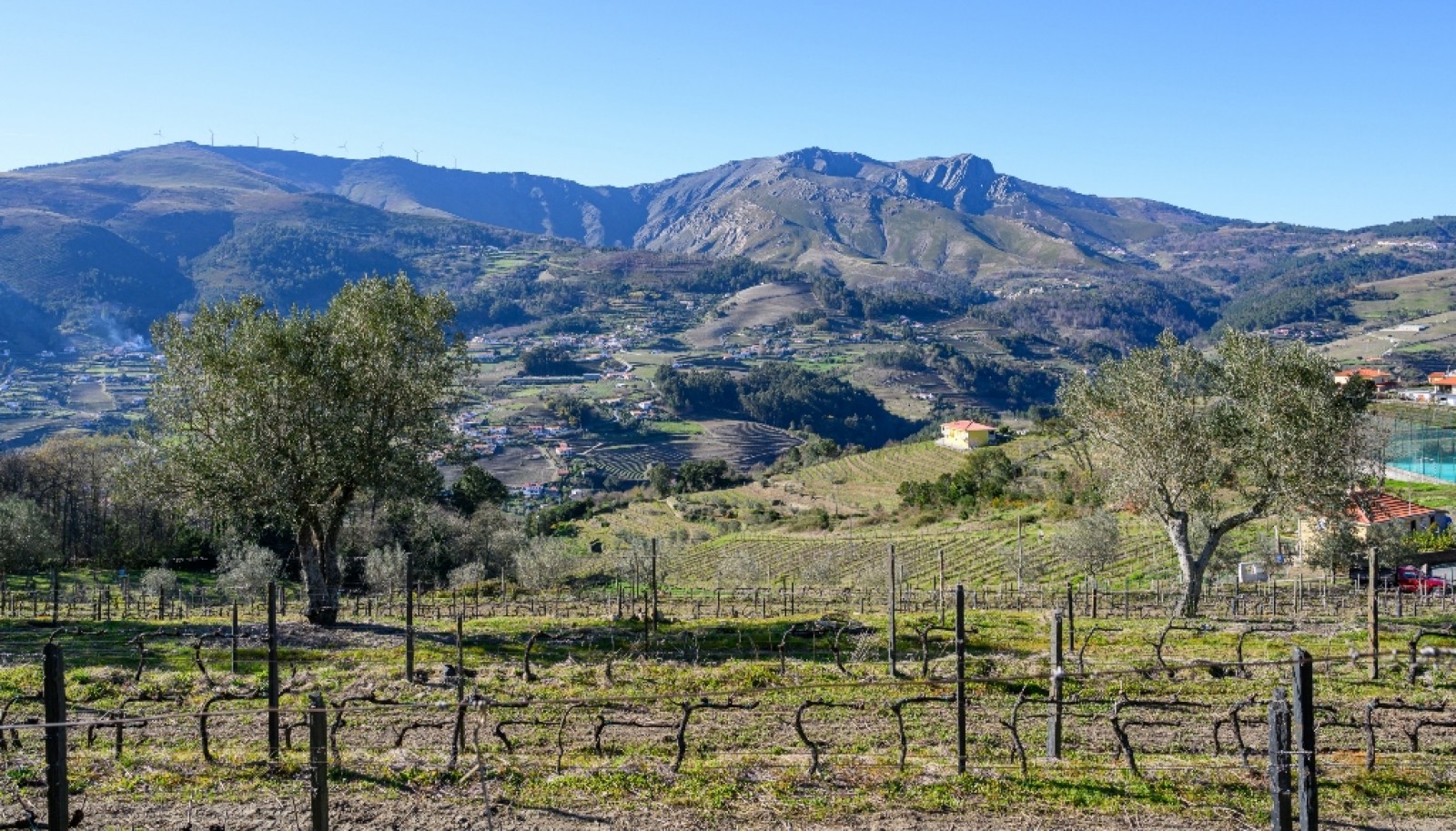 Quinta para venda com projeto aprovado no Douro Valley_361895