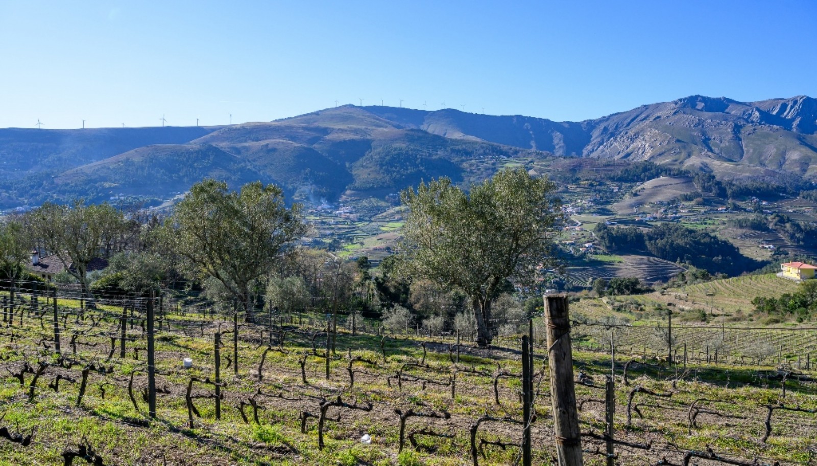 Quinta para venda com projeto aprovado no Douro Valley_361899