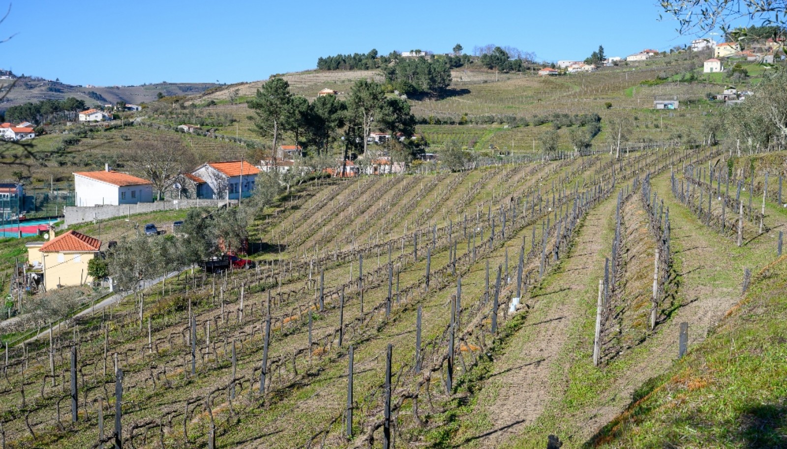 Quinta para venda com projeto aprovado no Douro Valley_361904