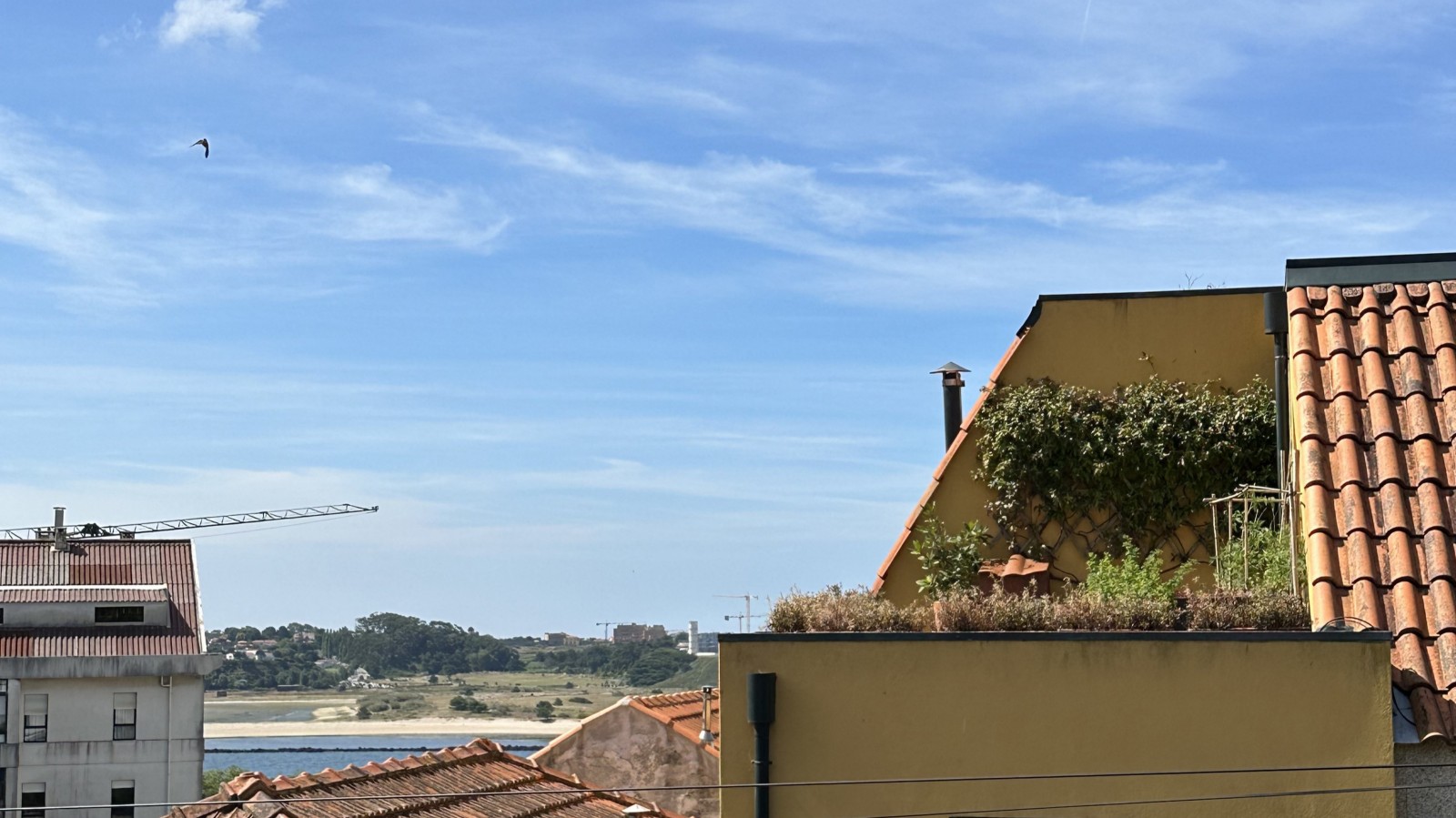 Terreno para moradia com PIP em aprovação na Foz Velha no Porto_362430