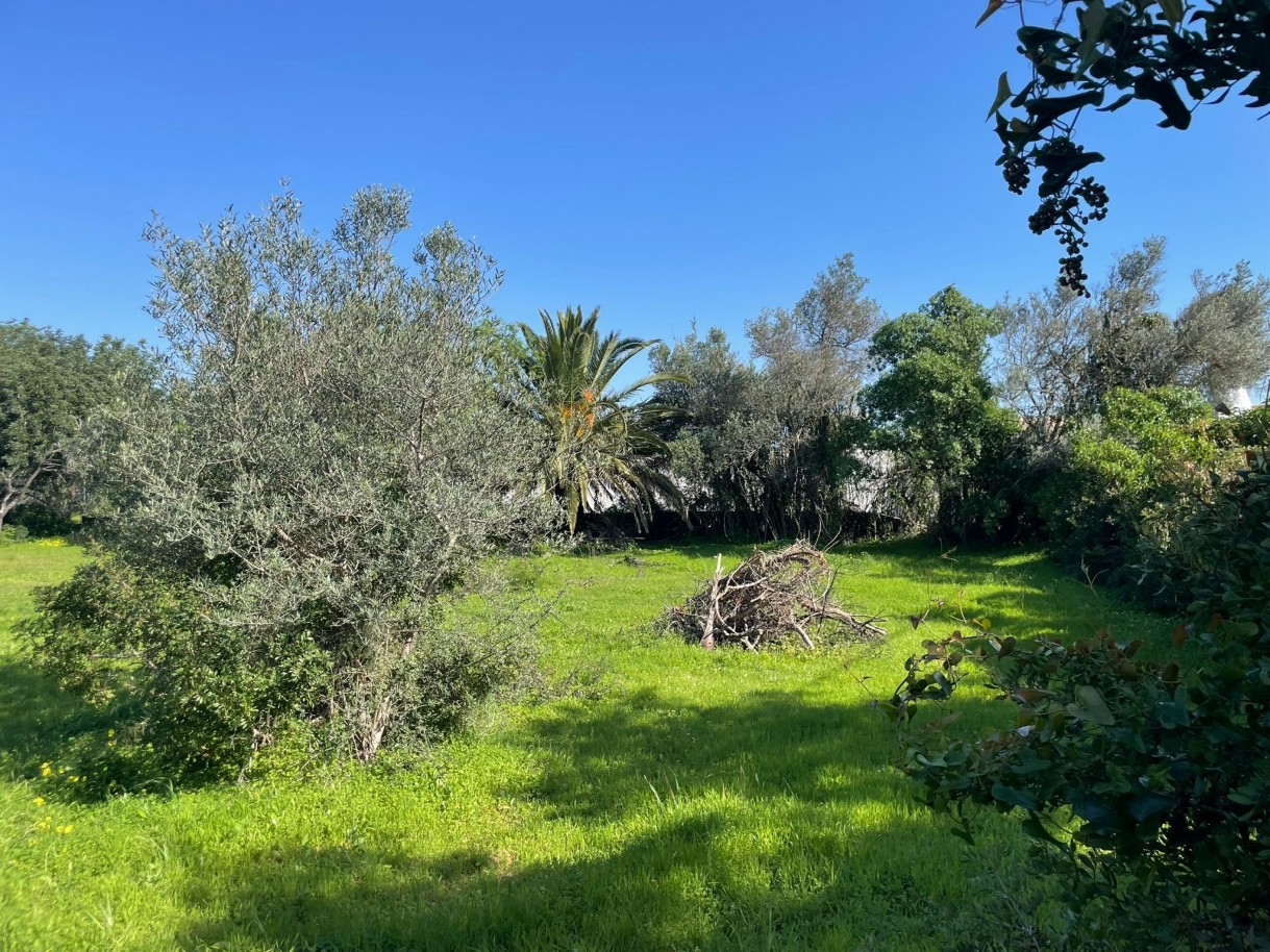 Parcela con ruina, en venta en Loulé, Algarve, Portugal_362711