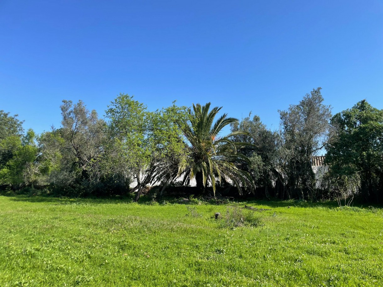 Parcela con ruina, en venta en Loulé, Algarve, Portugal_362716