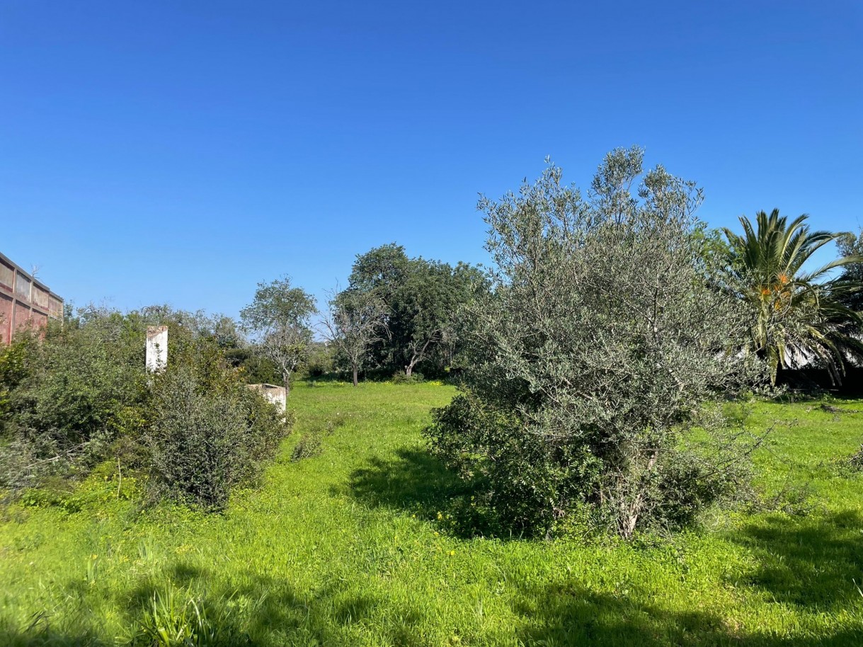 Parcela con ruina, en venta en Loulé, Algarve, Portugal_362718