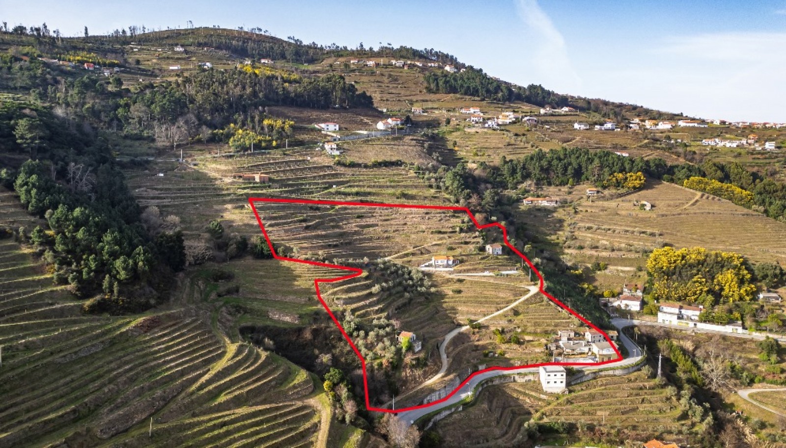 Quinta Vinicola em Vila Marim, Mesão Frio, Douro Valley_362809