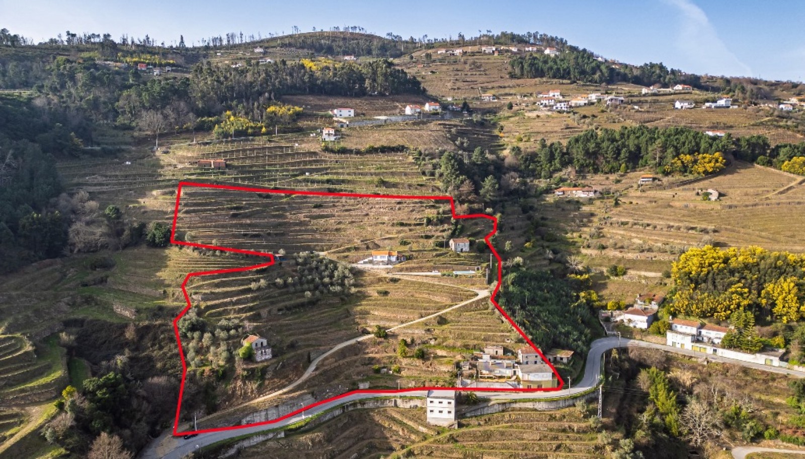 Quinta Vinicola em Vila Marim, Mesão Frio, Douro Valley_362810