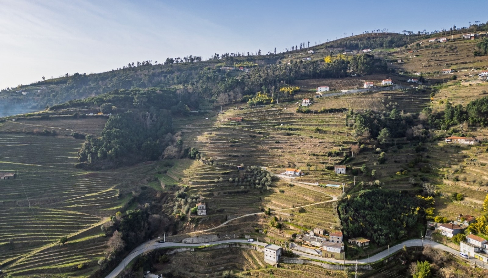 Quinta Vinicola em Vila Marim, Mesão Frio, Douro Valley_362811