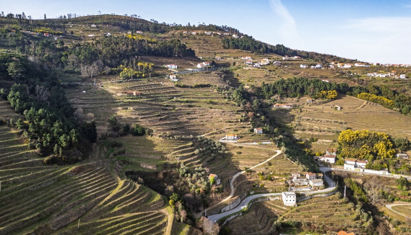 Quinta Vinicola em Vila Marim, Mesão Frio, Douro Valley_362814