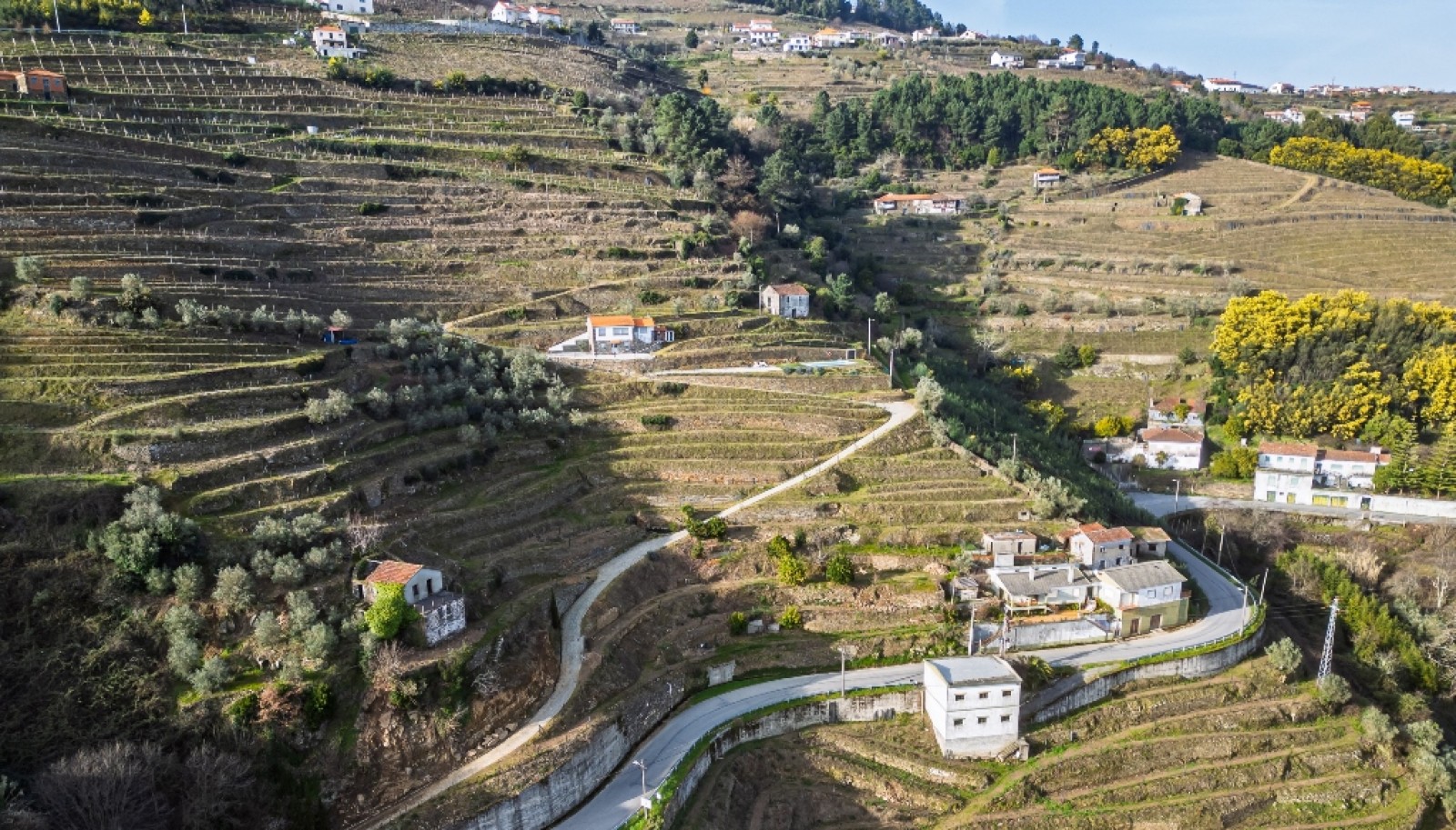Quinta Vinicola em Vila Marim, Mesão Frio, Douro Valley_362817