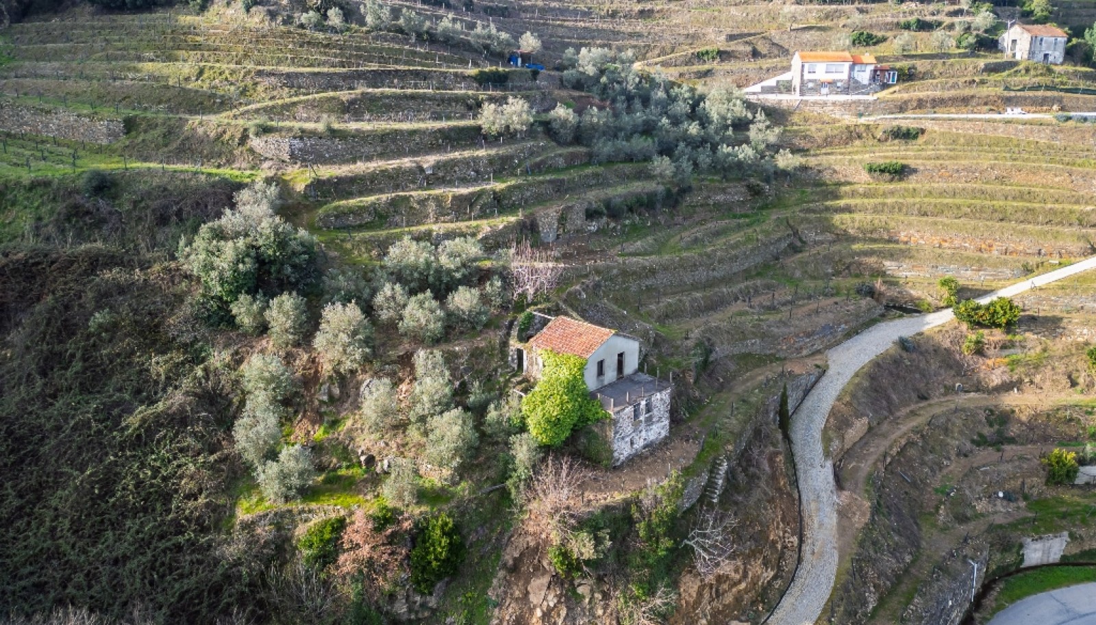 Quinta Vinicola em Vila Marim, Mesão Frio, Douro Valley_362818