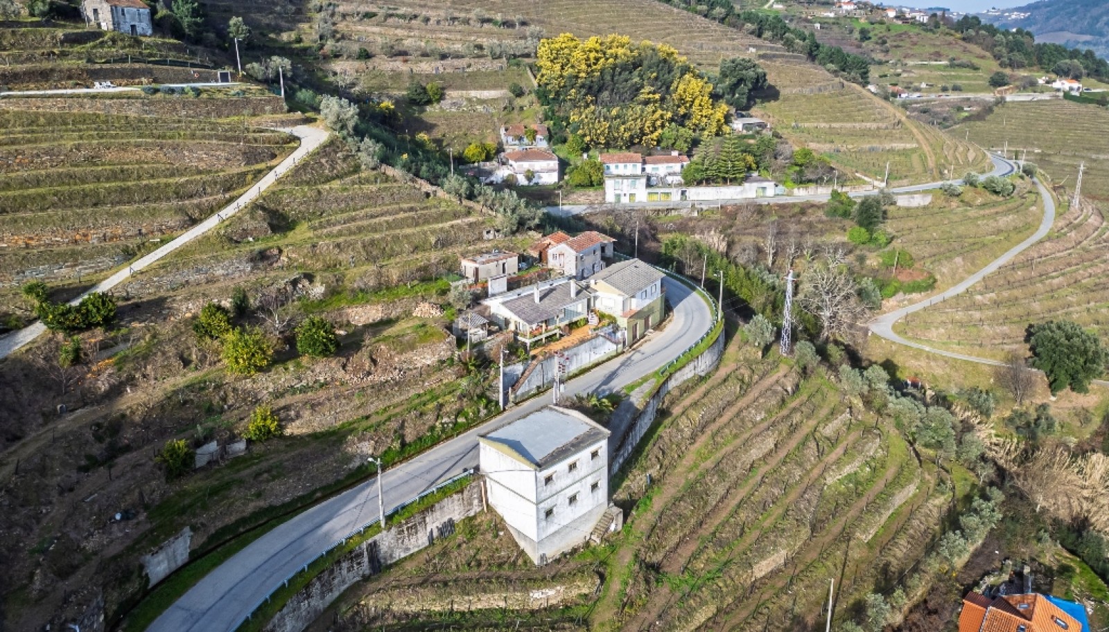 Quinta Vinicola em Vila Marim, Mesão Frio, Douro Valley_362819