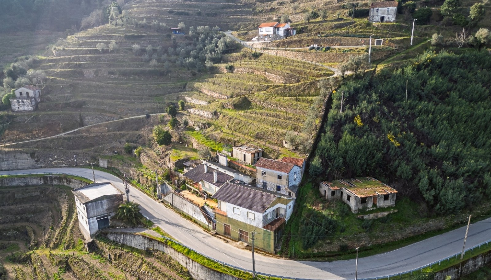 Quinta Vinicola em Vila Marim, Mesão Frio, Douro Valley_362820