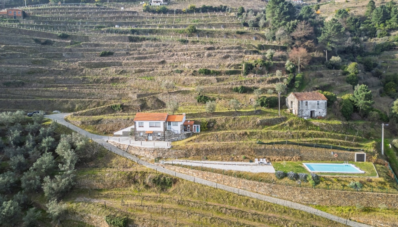 Quinta Vinicola em Vila Marim, Mesão Frio, Douro Valley_362821