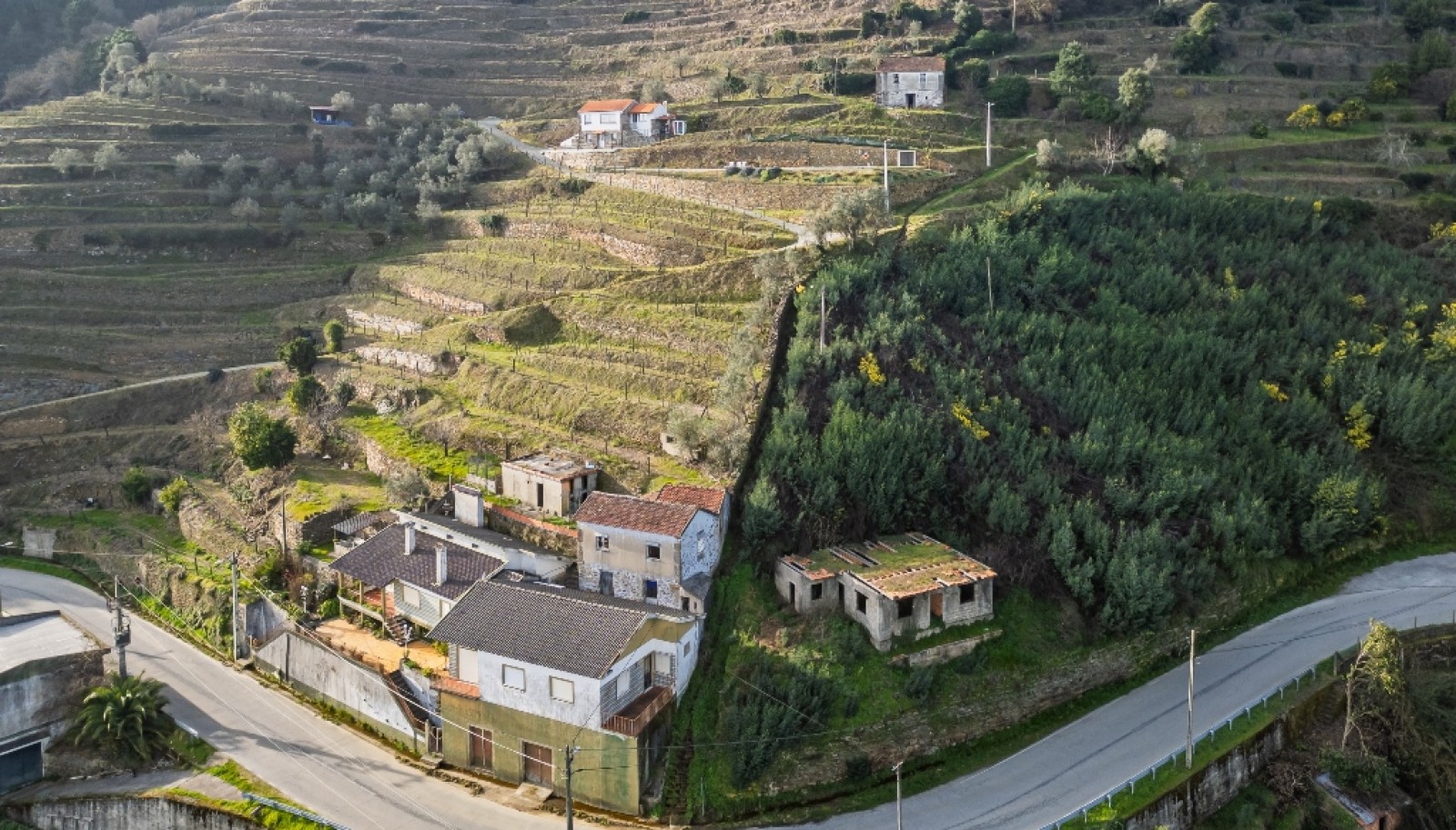 Quinta Vinicola em Vila Marim, Mesão Frio, Douro Valley_362822