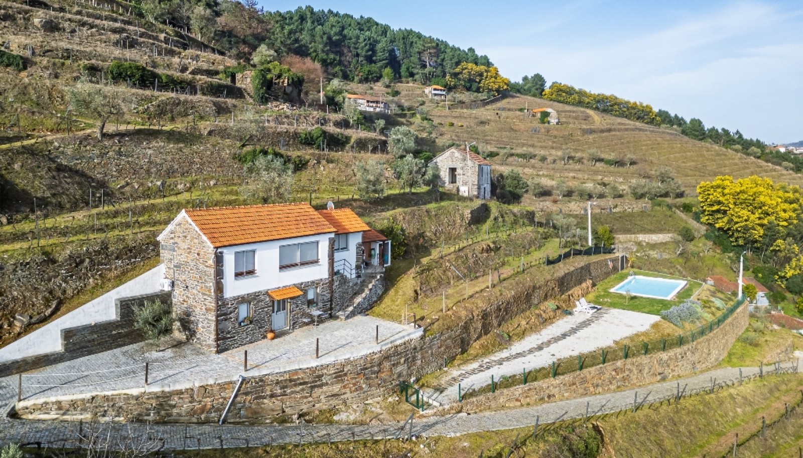 Quinta Vinicola em Vila Marim, Mesão Frio, Douro Valley_362823
