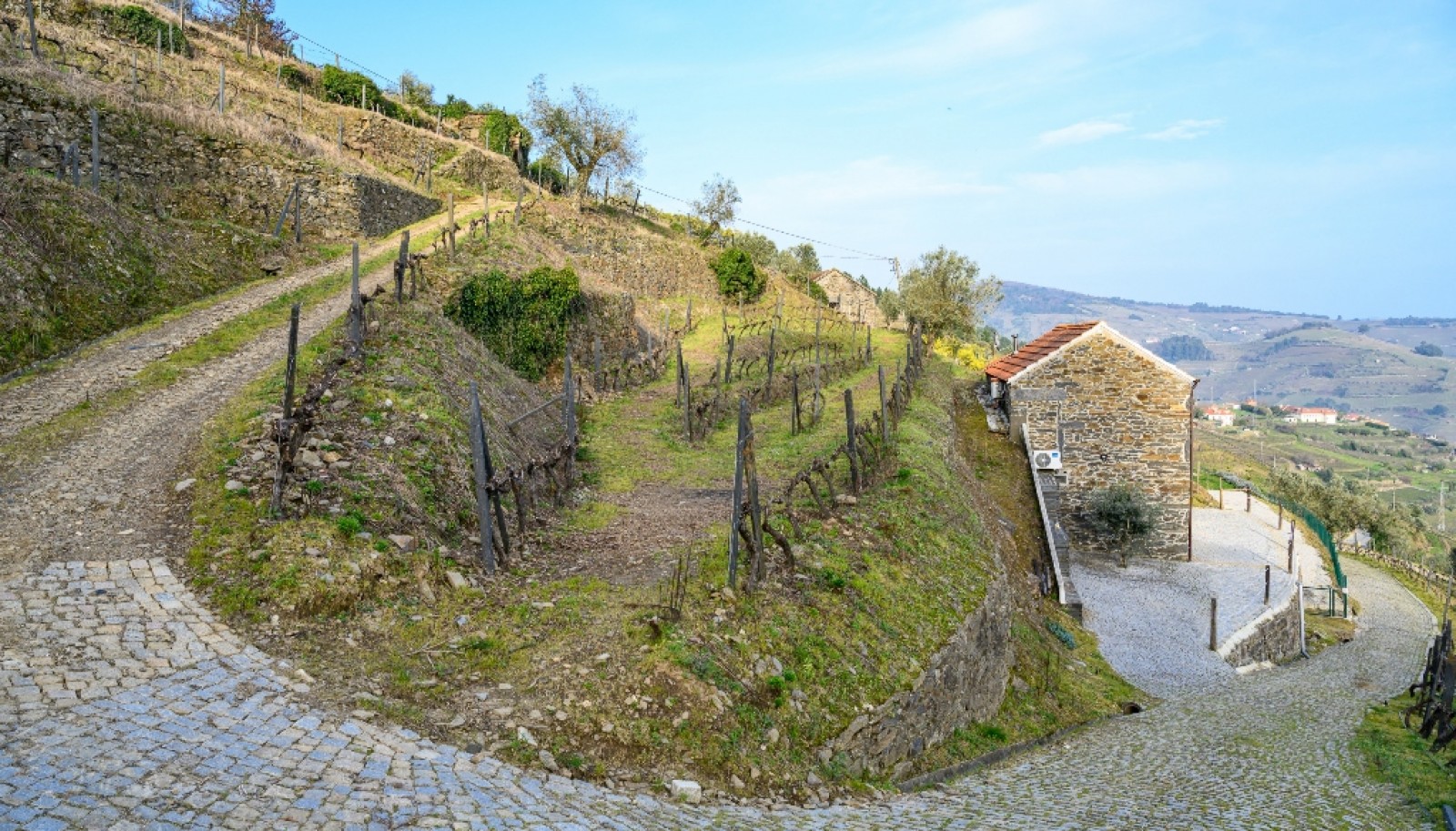 Quinta Vinicola em Vila Marim, Mesão Frio, Douro Valley_362825