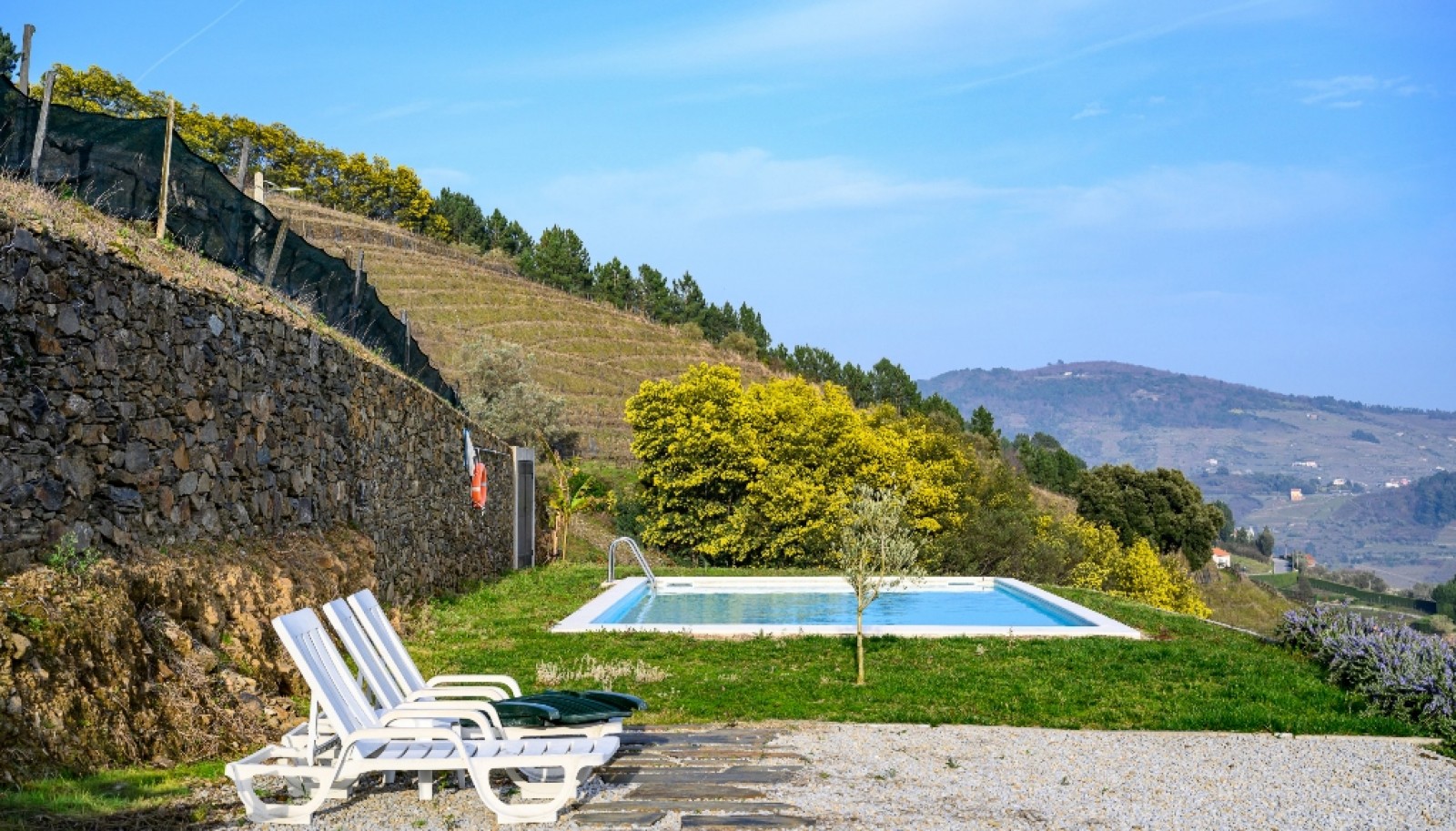 Quinta Vinicola em Vila Marim, Mesão Frio, Douro Valley_362832
