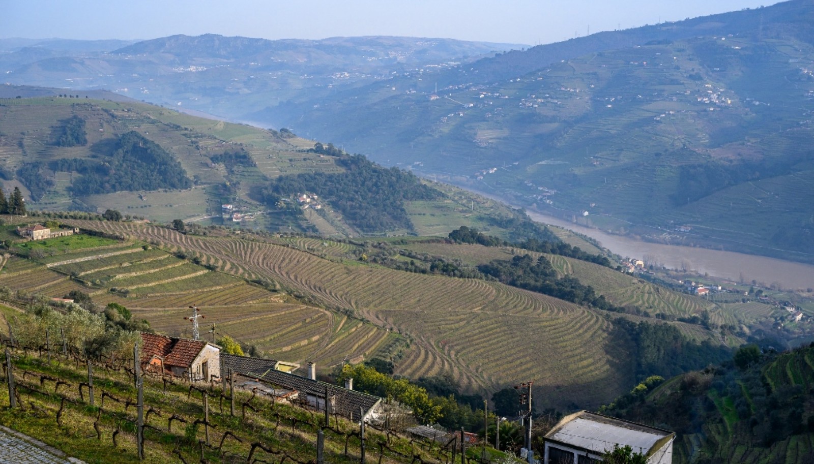 Quinta Vinicola em Vila Marim, Mesão Frio, Douro Valley_362833