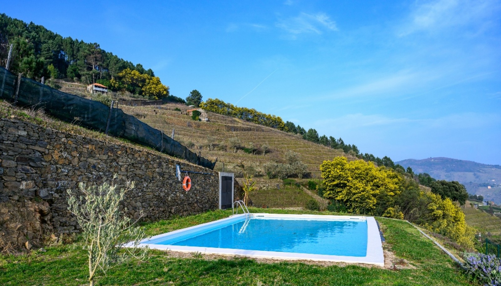 Quinta Vinicola em Vila Marim, Mesão Frio, Douro Valley_362836