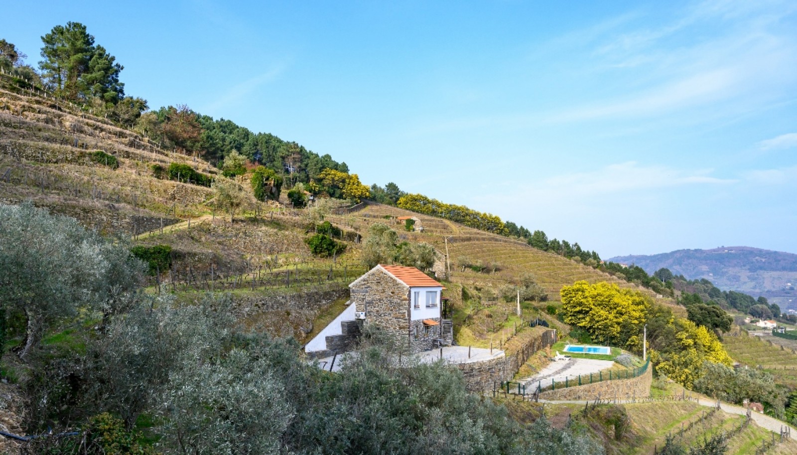 Quinta Vinicola em Vila Marim, Mesão Frio, Douro Valley_362867