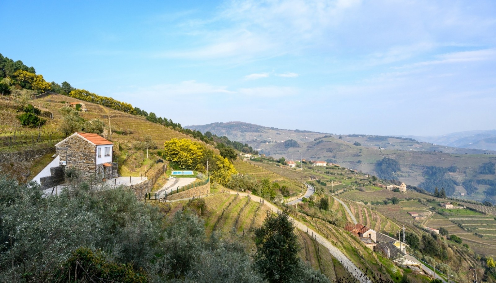 Quinta Vinicola em Vila Marim, Mesão Frio, Douro Valley_362871