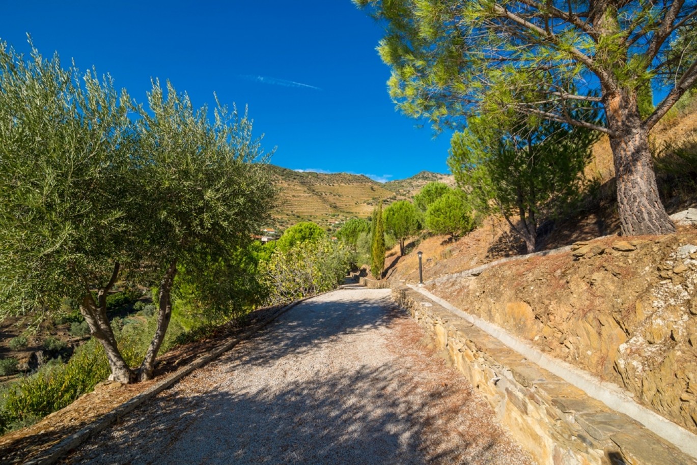 Haus mit Blick auf den Douro Fluss, Douro-Demarkations-Region, Portugal_362965