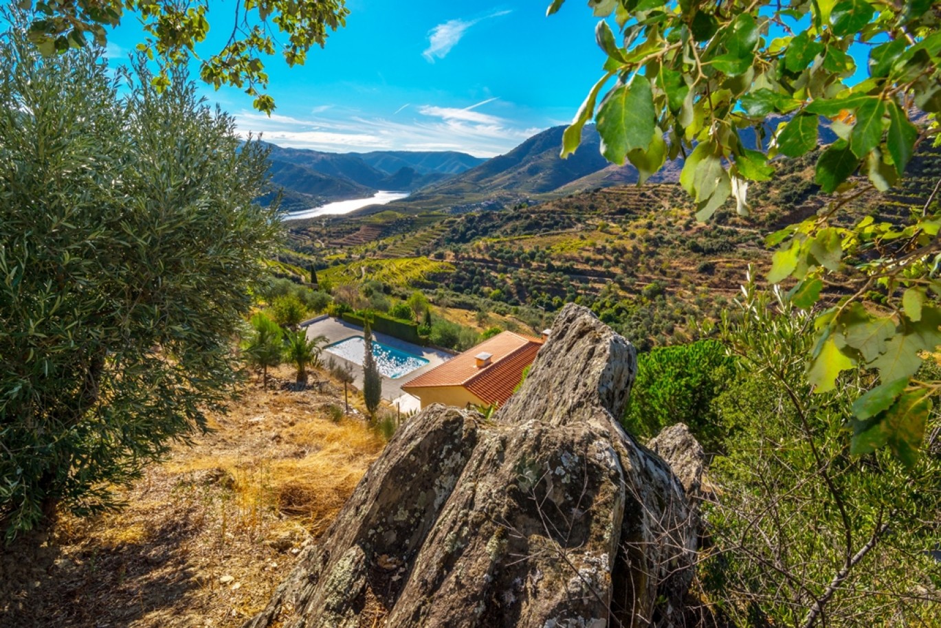 Quinta com piscina e vistas do rio Douro no Alto Douro_362967