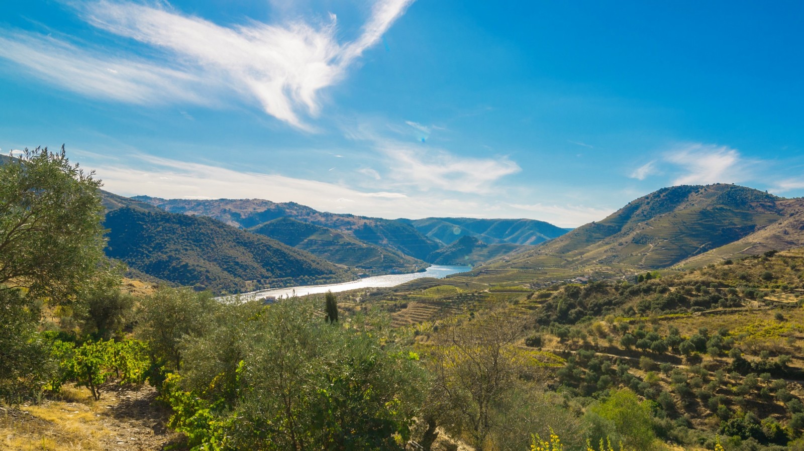 Haus mit Blick auf den Douro Fluss, Douro-Demarkations-Region, Portugal_362970