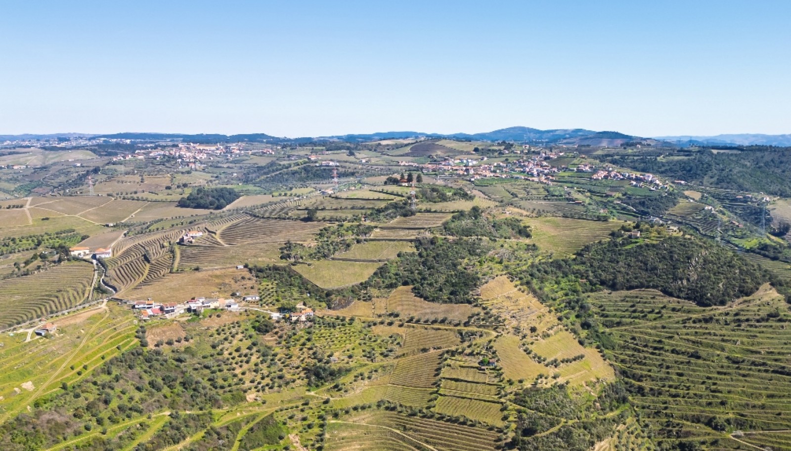 Wine estate for sale in Peso da Régua in the Douro Valley, Portugal_363252