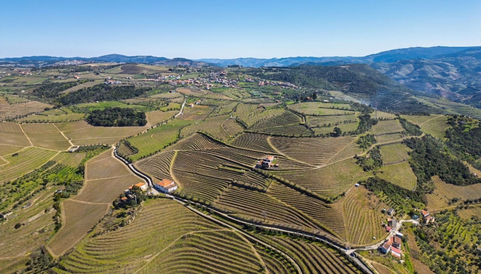 Wine estate for sale in Peso da Régua in the Douro Valley, Portugal_363257