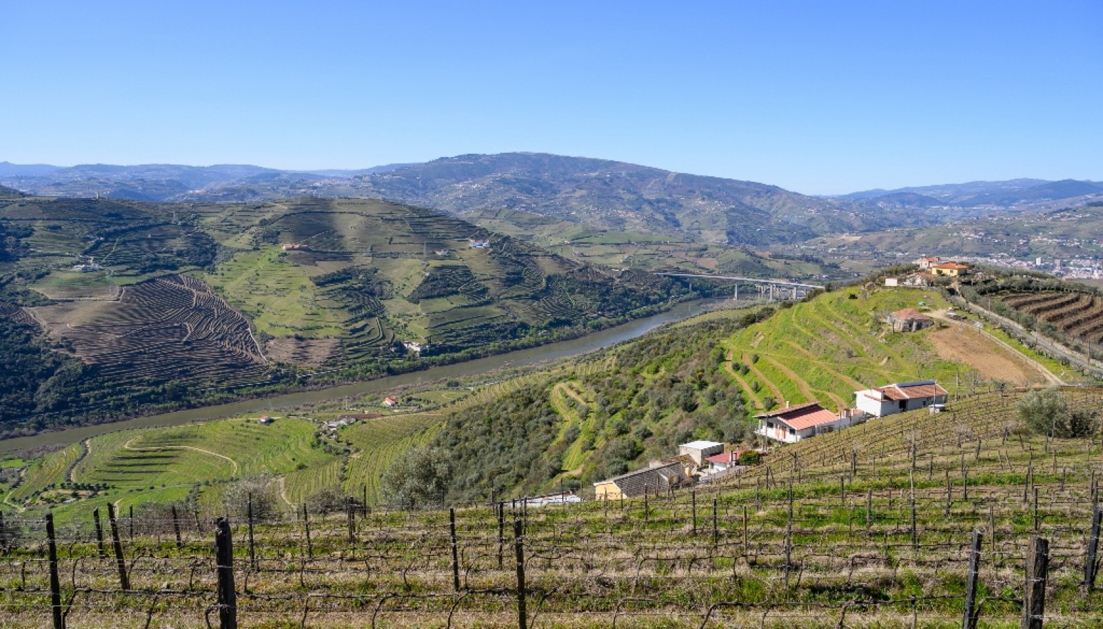 Wine estate for sale in Peso da Régua in the Douro Valley, Portugal_363262