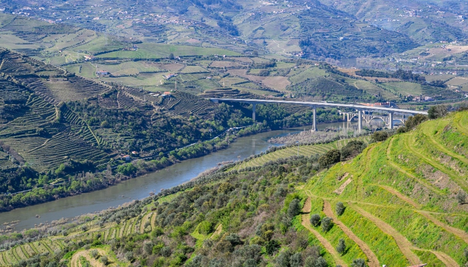 Wine estate for sale in Peso da Régua in the Douro Valley, Portugal_363263