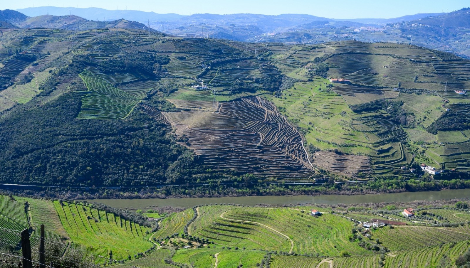 Wine estate for sale in Peso da Régua in the Douro Valley, Portugal_363264