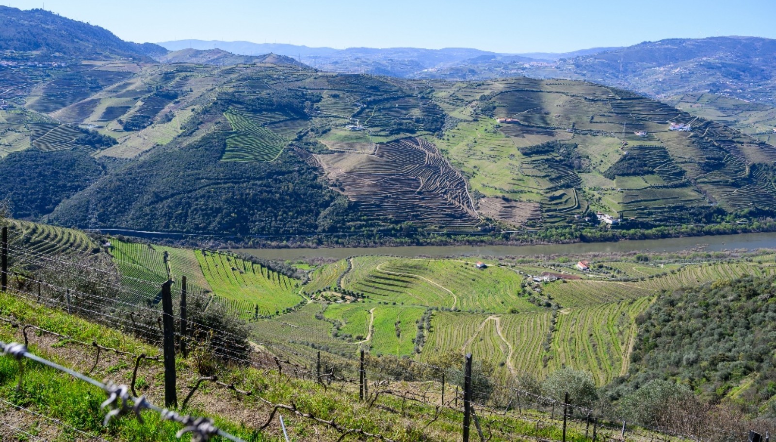 Wine estate for sale in Peso da Régua in the Douro Valley, Portugal_363265
