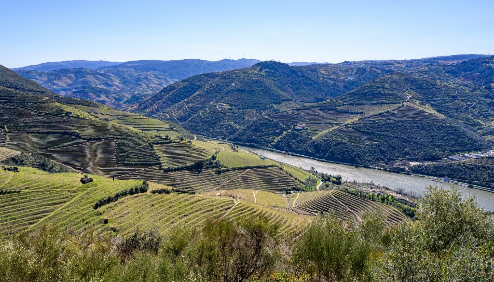 Wine estate for sale in Peso da Régua in the Douro Valley, Portugal_363267
