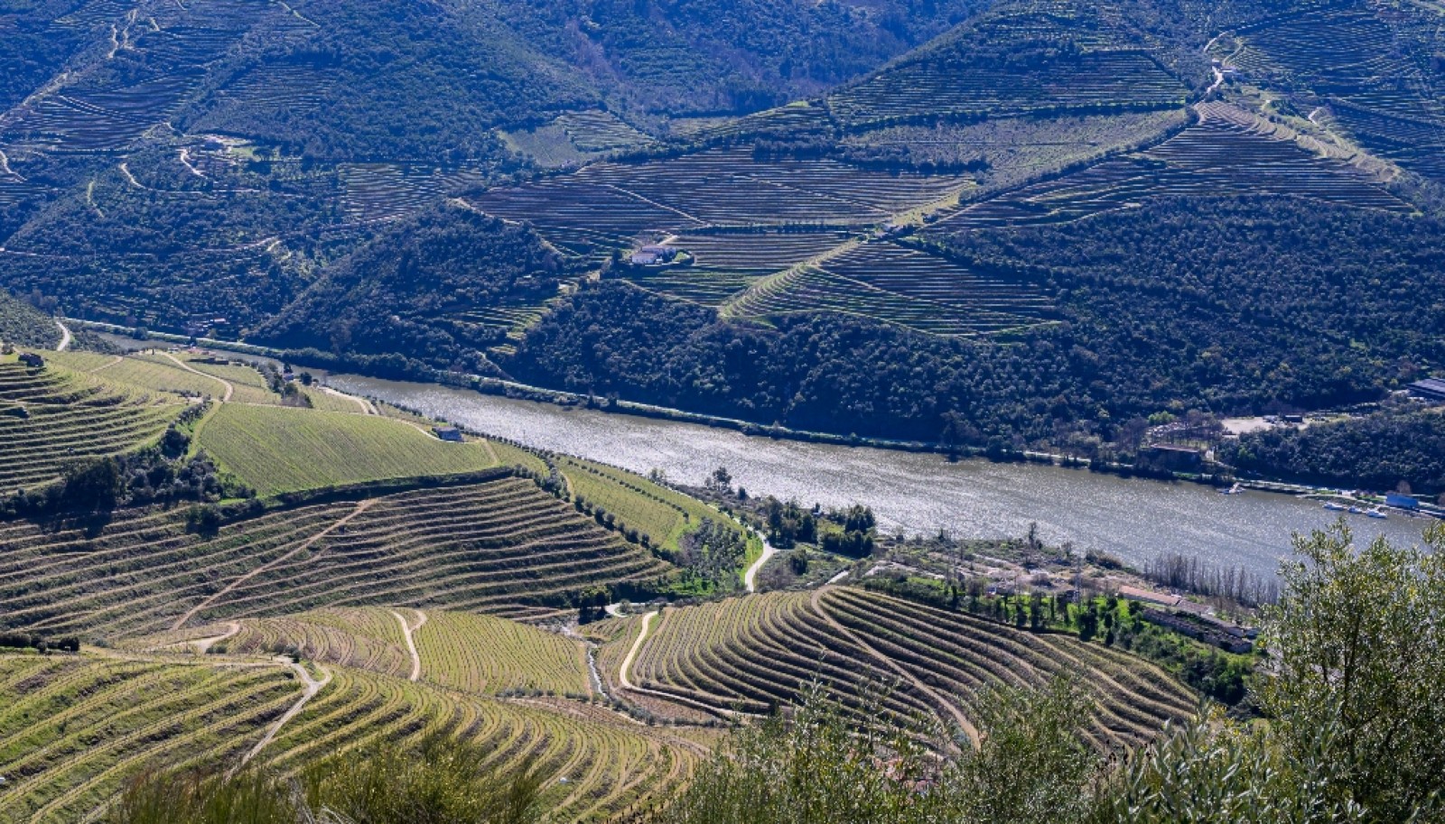 Wine estate for sale in Peso da Régua in the Douro Valley, Portugal_363268