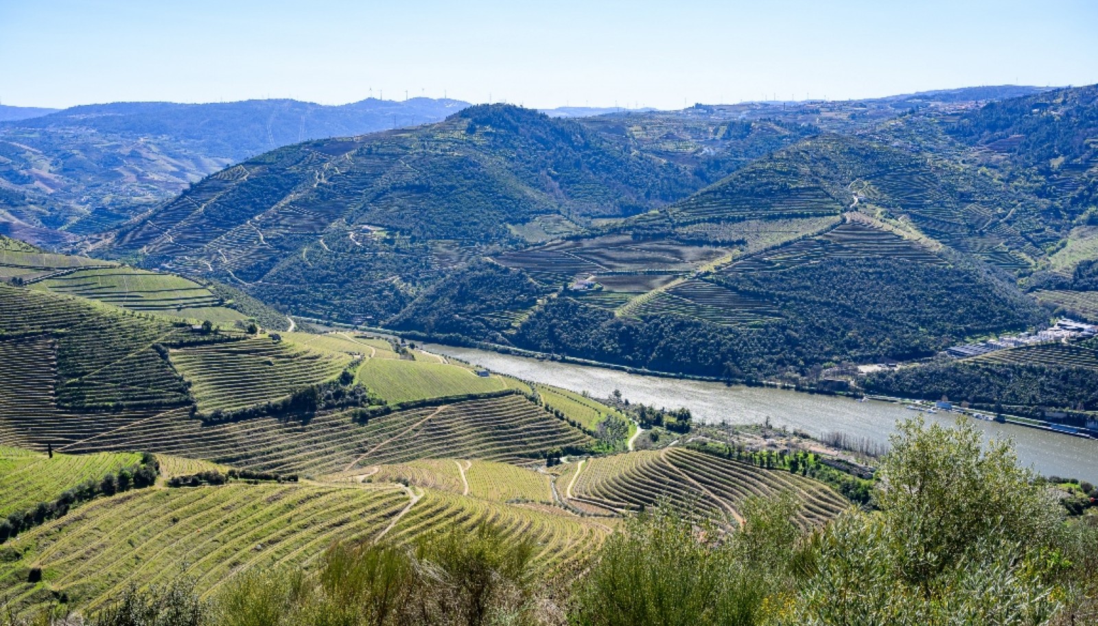 Wine estate for sale in Peso da Régua in the Douro Valley, Portugal_363269