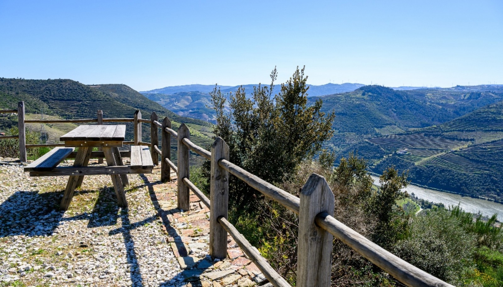 Wine estate for sale in Peso da Régua in the Douro Valley, Portugal_363270