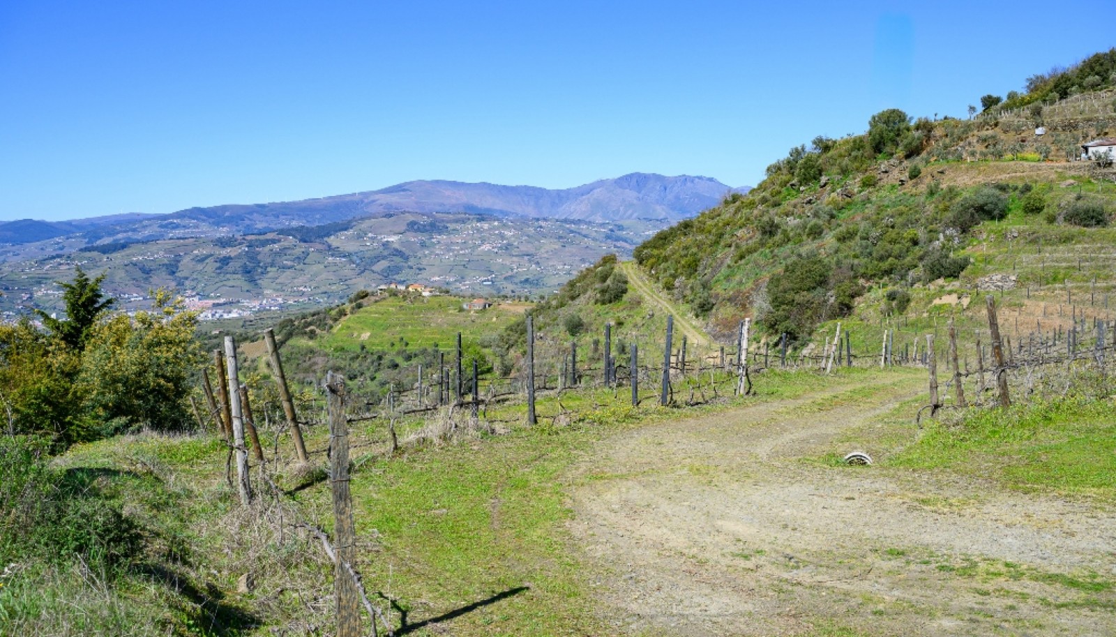 Wine estate for sale in Peso da Régua in the Douro Valley, Portugal_363272