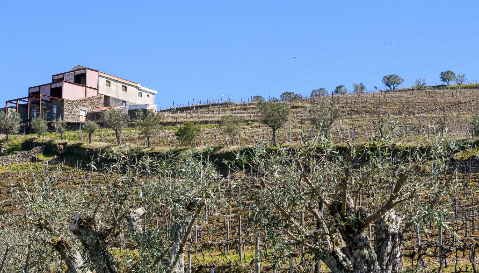 Wine estate for sale in Peso da Régua in the Douro Valley, Portugal_363277