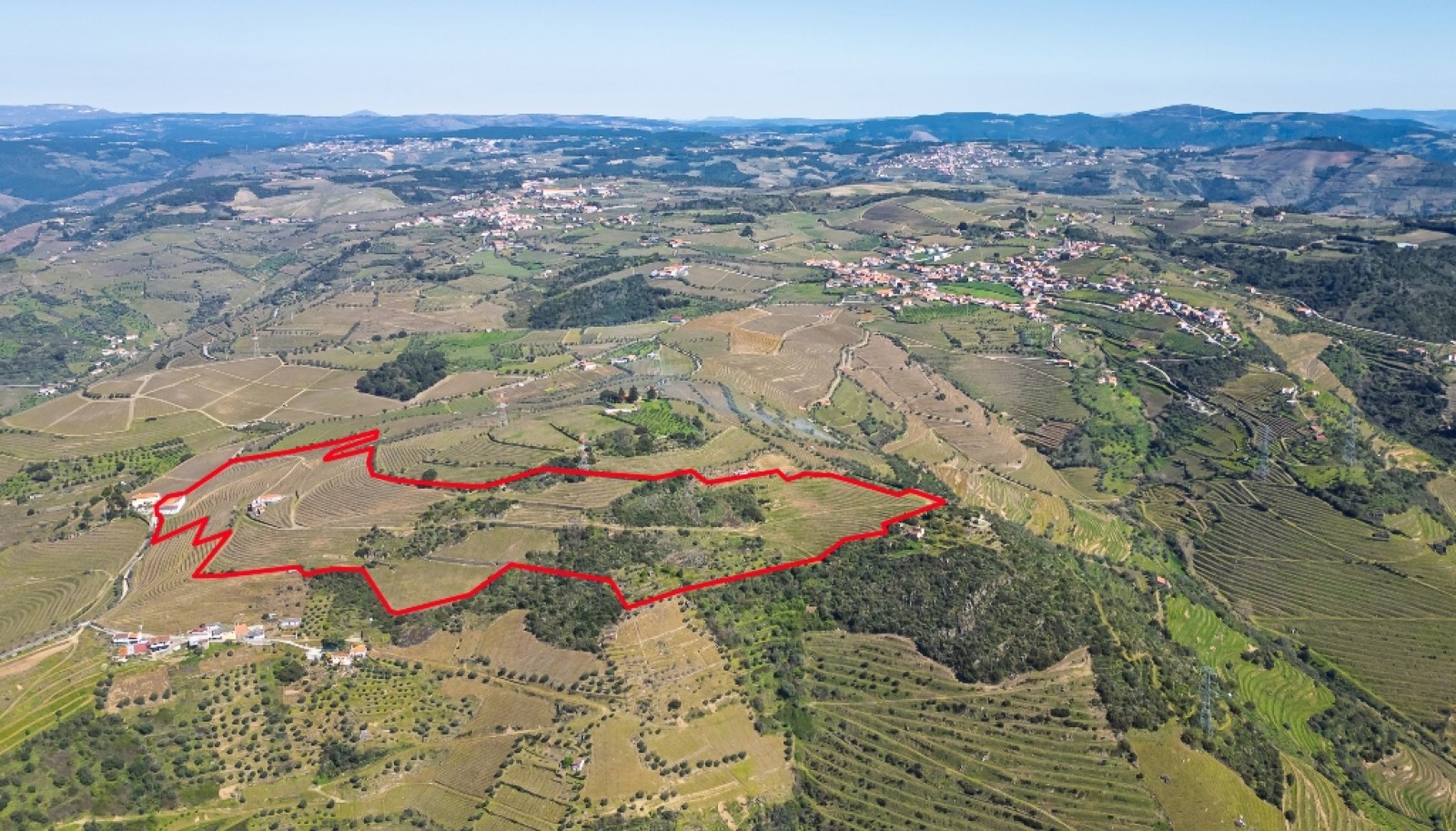 Wine estate for sale in Peso da Régua in the Douro Valley, Portugal_363320
