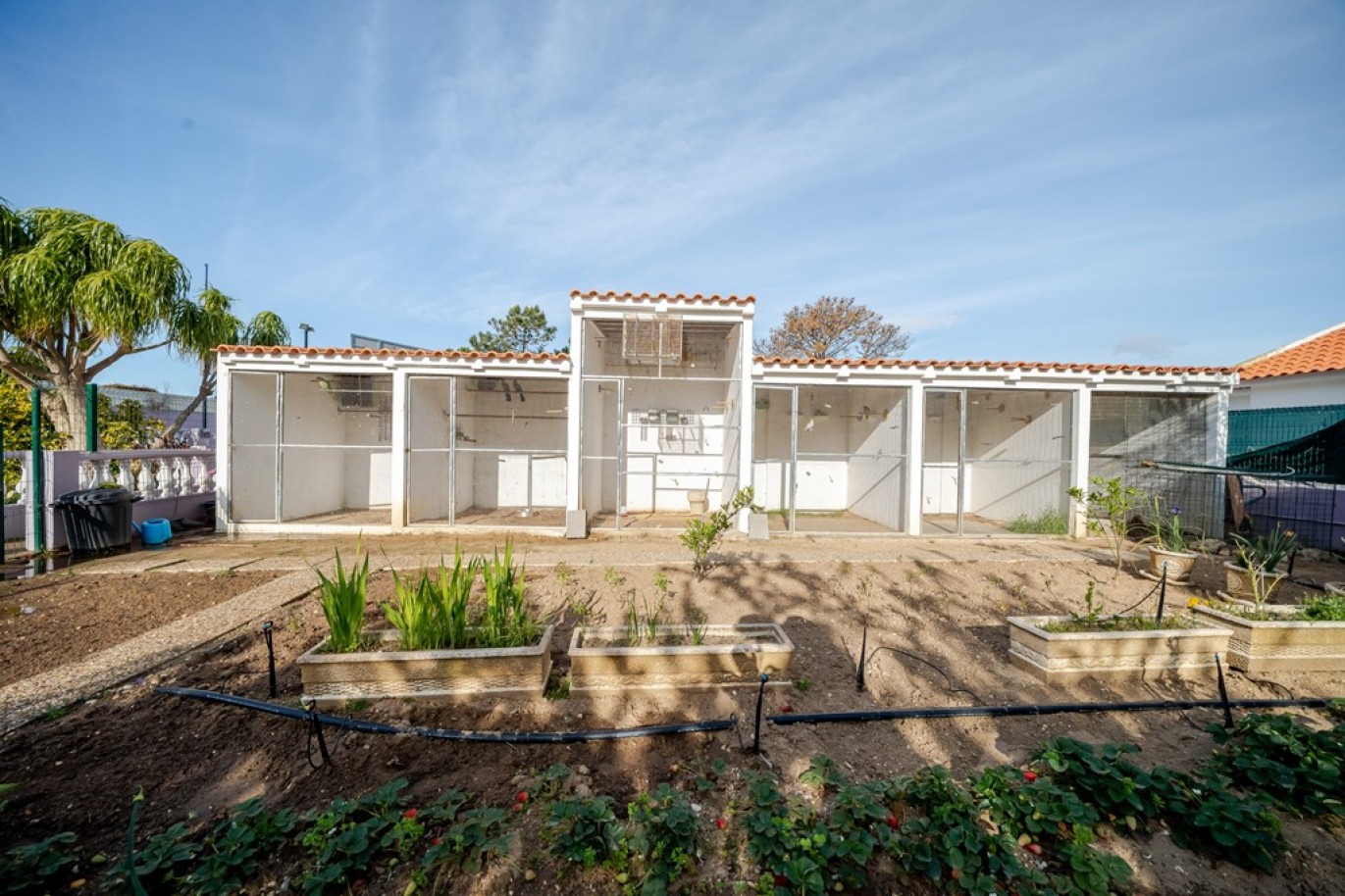 Local comercial en venta en Albufeira, Algarve, Portugal_364543